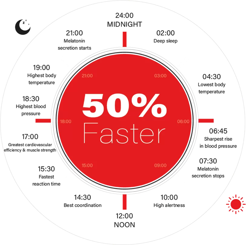Plan de traitement du rythme circadien optimisé